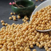 Soybean 500g * 2 bags Bulk Northeastern farmhouse Self-planting soy milk Soybean Sprout Soybean Sub beans Beans Grains Five Valleys