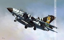 Constant-glow model Hobbyboss 1 48 high winds ECR electronic fighter 80354]