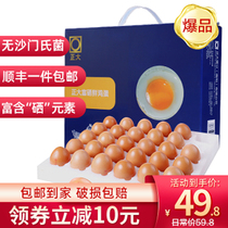 Zhengda selenium-rich eggs fresh 30 eggs whole box gift box supplementary food supplement nutrition fresh eggs edible hot spring eggs