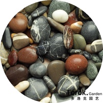 Pebble stone rain flower stone natural stone fish tank decoration small stone hydroponic flower special stone