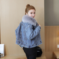 Large size womens clothing 2021 winter new detachable wool collar denim cotton coat jacket short velvet thickened cotton clothes for women