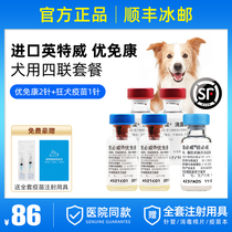 Imported Inttwith Dog Vaccine Dog Four Together Rabies Pet Puppy Vaccine Package