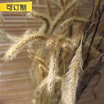 Pure natural dried flower decorative flower pastoral hay grass grass flower plant Yunnan real flower bouquet