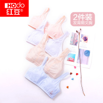 Red bean girl small Vest development student girl sling underwear Primary School junior high school child girl bra
