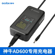 Shen Niu AD600 B BM power adapter External shooting light lithium battery flash charger Original adapter