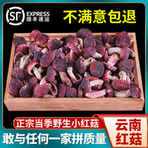 Authentic Yunnan Red Mushroom Special Wild 500g Dry Cargo Box Packaging mushroom soup to give gift Shanjian