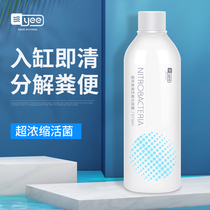 Nitrifying Bacteria Fish Tank Water Purifier Active Water Stabilizer Digestion Bacteria Nitrifying Bacteria Aquarium Fish Products
