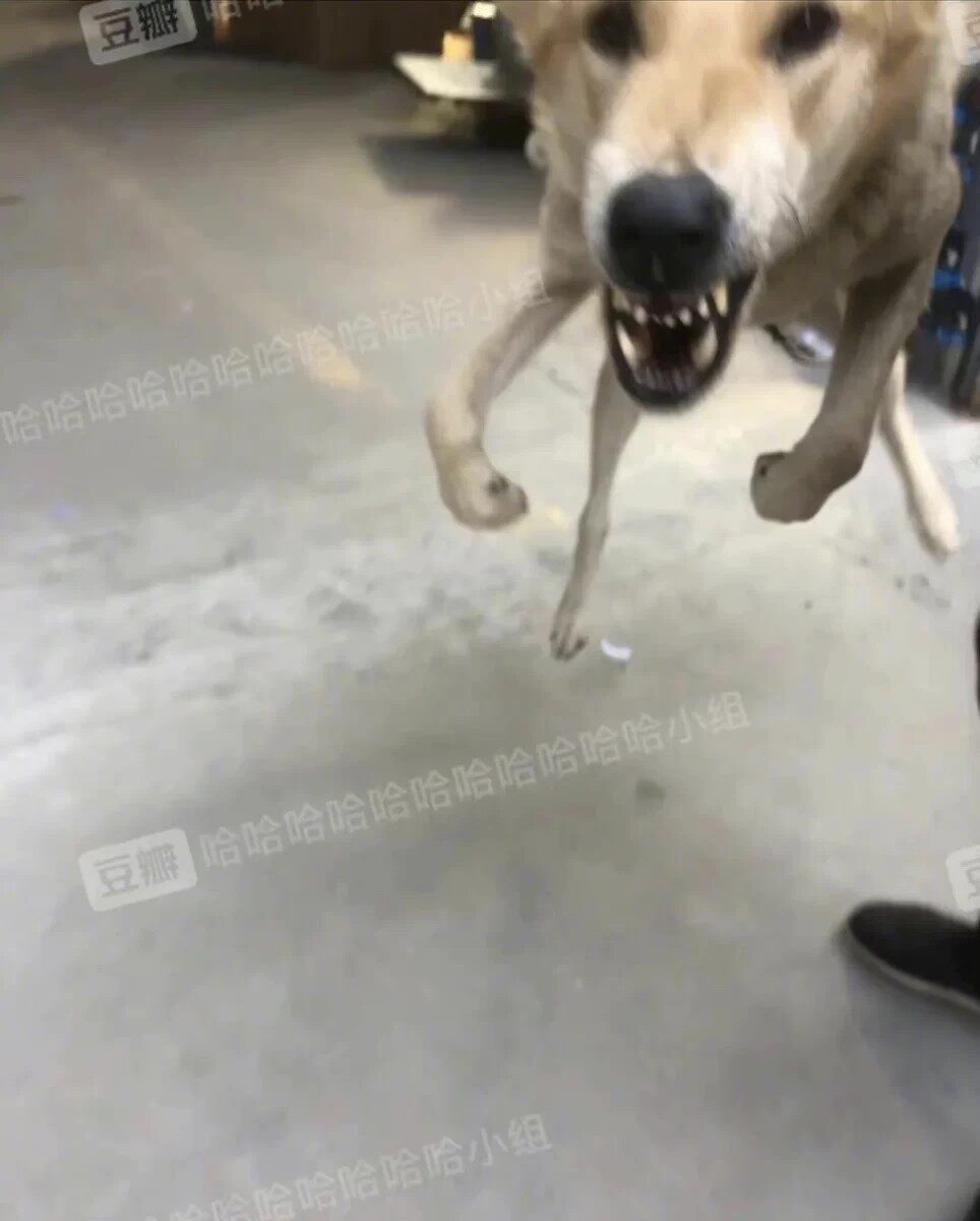 Фото отзыва