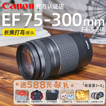 Canon EF 75-300mm f 4-5 6 III Telephoto SLR Lens Canon 70-300 Tele Bird