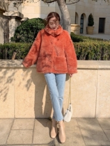 (Into Winter Discount Spot) Retro antique lamb wool coat female winter 2020 new warm plush thickened blouses