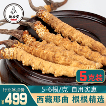 De Xing Tang Tibetan Naqu Cordyceps 5 grams of self-use high-quality selected cordyceps 5 grams