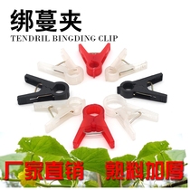 Cucumber Tie-Cranked-nip styling bale Grafting Clip Vine-Grip Silk Melon Chiller Plastic Clips Tie Card Quality Labor-saving