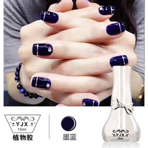 Blue Ocean Melt Glue 2019New Ink Blue Barbie Blue Melt Glue Light Therapy Gum Nail Shop Special