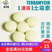 The city of fish the city of fish the treatment of fish rotten body white spots and other symptoms