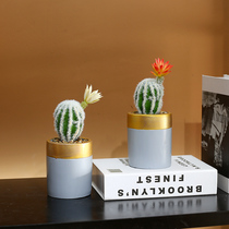 Emulated cactus multimeat green plant potted plant swaying parlor book room table top decoration indoor plant Nordic ins