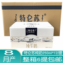 Mengniu Chunzhen Yogurt Terun Pure Milk Milk Original Flavor Yogurt 8th