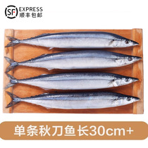Shunfeng 6 catty fresh frozen deep-sea seafood Barbecue Ingredients Day Style Autumn Knife Fish Fresh Aquatic Marine Fish