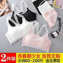 Student Senior high school Girls Sports Underwear Women's Ringless Back Bra Junior High School Students Small Vest Strapless Thin Summer