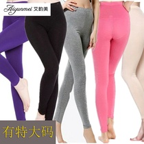 2019 plus spring and autumn thin fat mm200 Jin women cotton plus fat large single piece elastic autumn pants