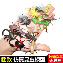 12 simulated insect toy models know the Dragonfly scorpion Locust Ant animal set childrens cognitive gift