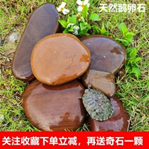 Cobble boulder large stone paving fish tank pool building View natural small pebble Courtyard Pendulum flower pots Small stones