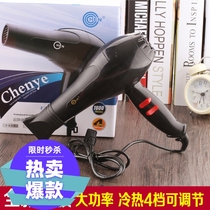 1600W household high-power hair dryer electric wind blowing professional hair salon hairdressing hair dryer blower Blower