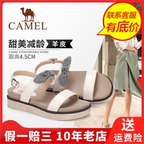 Camel Camel summer pine cake bottom middle heel word buckle thick soles Roman womens sandals A92045615