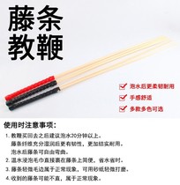 The ruler student uses the soft ruler to use the leather rattan to teach the baton to train the dog.