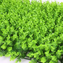 Simulation of plant lawn wall red green plastic fake roomBackground wall door door door green plant decoration