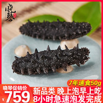 Xiaoqin Aquatic fast-food sea cucumber Dalian THORN ginseng Liao Ginseng 50G family pack saves time and effort