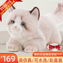 Comet cute emulation kitty doll Puppet Puppet girl Mao suede toy Little Cat Doll Companion Gift