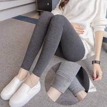 Pregnant Woman Beats Bottom Pants Spring Autumn Season Long Pants Fashion Plus Suede Slim Fit Outer Wear Pregnant Woman Small Feet Pants Thin