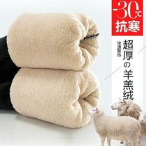 Tthicker Northeastern lamb suede with underpants female anti-cold autumn winter cotton pants gush thickened external wearing ultra-thick integrated warm pants
