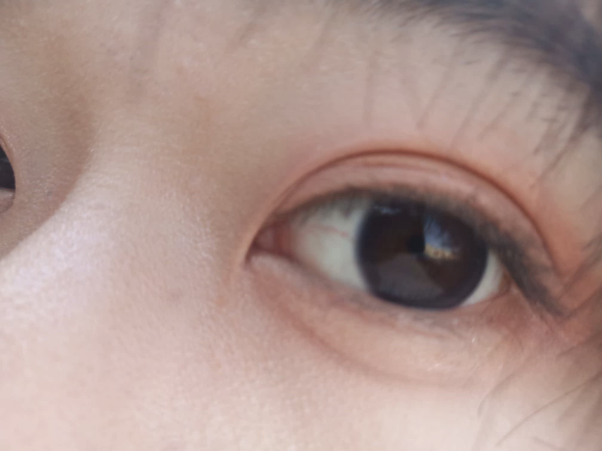请问大伙：松下卡拉泡泡眼影盘究竟怎么样,真实使用感受揭秘!!!不看必后悔