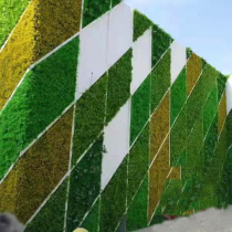 Simulation of green plant wall lawn for the green plant