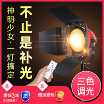 800W Red Head Light God girl fill light LED three-color remote control adjustment studio room professional photo lighting studio layout Special spotlight gourmet food shooting warm light food clothing clothing