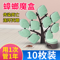 Cockroach Drug Non-Non-toxic Home Full Nest End Jedi Killing and Mighty Killing of Cockroach Cockroach the Cockroach Cockroach house