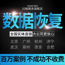 Computer mobile hard disk data recovery service U disk memory SD card photo video file repair software repair V