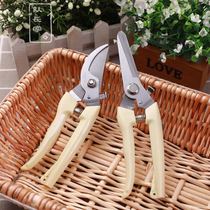  Captains gardening branch scissors fruit cutting fruit picking flower pruning pruning pruning pruning tool floral curved mouth knife