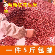 Red Coat Peanut Rice 2500g Red Peel Small Grain Raw Flowers Raw Jen Four Grain Red Flowers Raw New Stock Large Grain Peanut Rice White Sand