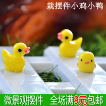 Moss micro landscape ornaments bonsai DIY material succulents flower potted ornaments chicks and ducklings