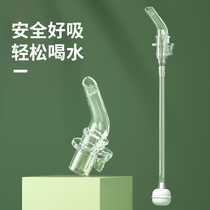 Multi-function water accessories mugs