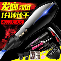 Hair salon hair dryer High-power 5000 negative ion household wind blowing tube silent silent comb Pet hair care