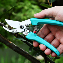 Zhang Xiaoquan garden scissors labor-saving pruning fruit tree scissors gardening scissors strong plant scissors