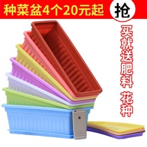 4-pack rectangular thickened plastic vegetable planting pots Balcony vegetable planting pots Large family yard vegetable planting flowers