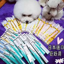 Wenwen likes to use a Japanese imported ultra-small brush head cat dog toothbrush cleaning brush