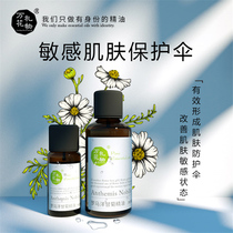 Wanhua Gift Chamomile Facial Sensitive Muscle Essential Oil Aromatherapy Gentle Soothing and Lightening Red Blood to Improve Dullness