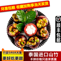 (Shunfeng) Thailand imported mangosteen 3kg fresh fruit special 5a big fruit season pregnant woman Shunfeng