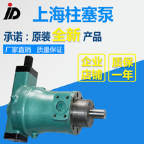 Factory direct 250YCY 250y14-1b axial piston pump hydraulic motor 13122588707