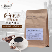 Americas El Salvador Black Beauty Estate Sunning SHB High Altitude Elephant Bean Boutique American Hand Beans Now Baking